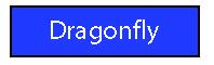 Dragonfly Download Button
